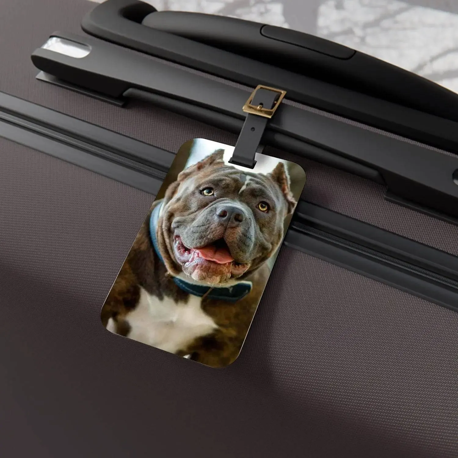 Custom Personalized Pet Photo Luggage Tags