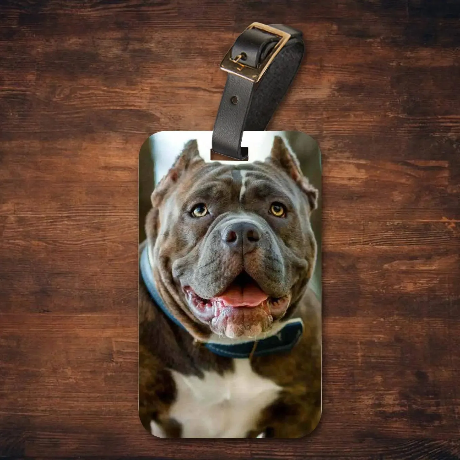 Custom Personalized Pet Photo Luggage Tags